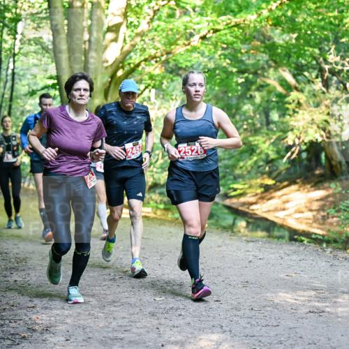 28.09.2025 - 33. Volkslauf durch das schöne Alstertal Dr. Thomas Lammeyer http://msf.ph/oto/8955070 28.09.2025 10:40:38 Laufen 40, 2, 53, 2451, 2526, 2016 meine-sportfotos.de