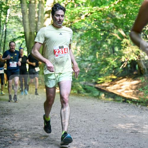 28.09.2025 - 33. Volkslauf durch das schöne Alstertal Dr. Thomas Lammeyer http://msf.ph/oto/8955098 28.09.2025 10:40:43 Laufen 2314, 12 meine-sportfotos.de