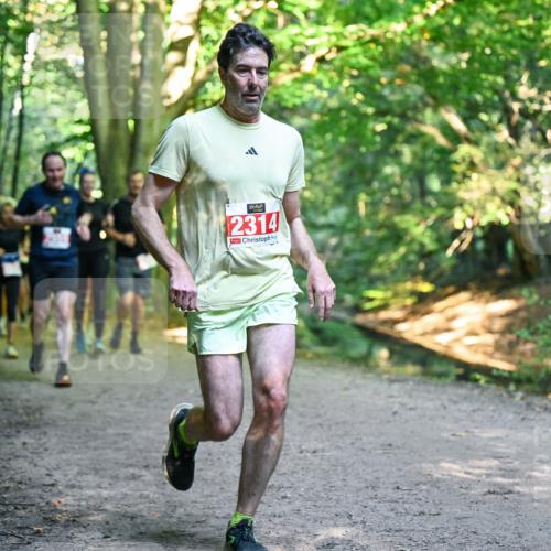 28.09.2025 - 33. Volkslauf durch das schöne Alstertal Dr. Thomas Lammeyer http://msf.ph/oto/8955099 28.09.2025 10:40:43 Laufen 2314 meine-sportfotos.de