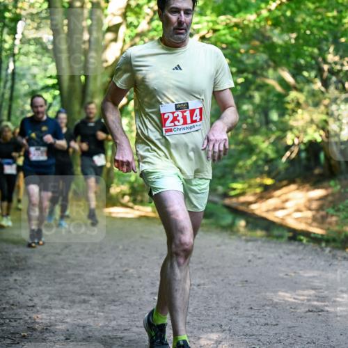 28.09.2025 - 33. Volkslauf durch das schöne Alstertal Dr. Thomas Lammeyer http://msf.ph/oto/8955100 28.09.2025 10:40:43 Laufen 2314 meine-sportfotos.de
