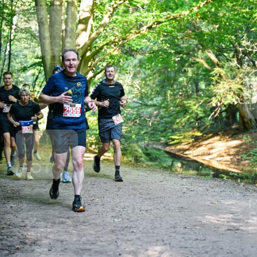 28.09.2025 - 33. Volkslauf durch das schöne Alstertal Dr. Thomas Lammeyer http://msf.ph/oto/8955107 28.09.2025 10:40:44 Laufen 260, 2535, 2559, 246 meine-sportfotos.de