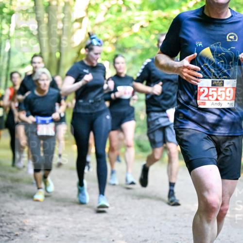 28.09.2025 - 33. Volkslauf durch das schöne Alstertal Dr. Thomas Lammeyer http://msf.ph/oto/8955118 28.09.2025 10:40:46 Laufen 2024, 2559 meine-sportfotos.de