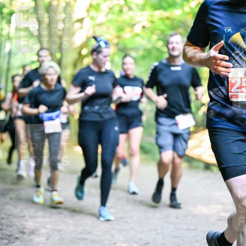 28.09.2025 - 33. Volkslauf durch das schöne Alstertal Dr. Thomas Lammeyer http://msf.ph/oto/8955119 28.09.2025 10:40:46 Laufen 2559, 2024 meine-sportfotos.de