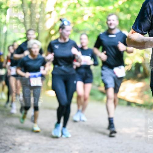 28.09.2025 - 33. Volkslauf durch das schöne Alstertal Dr. Thomas Lammeyer http://msf.ph/oto/8955121 28.09.2025 10:40:46 Laufen 2559 meine-sportfotos.de