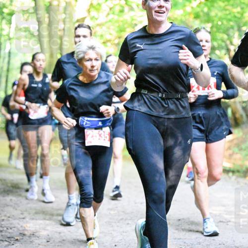 28.09.2025 - 33. Volkslauf durch das schöne Alstertal Dr. Thomas Lammeyer http://msf.ph/oto/8955125 28.09.2025 10:40:47 Laufen 2802, 2535, 6, 24 meine-sportfotos.de