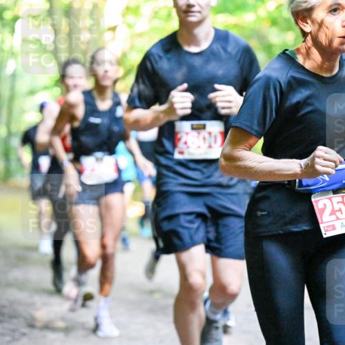 28.09.2025 - 33. Volkslauf durch das schöne Alstertal Dr. Thomas Lammeyer http://msf.ph/oto/8955133 28.09.2025 10:40:48 Laufen 2600, 253 meine-sportfotos.de