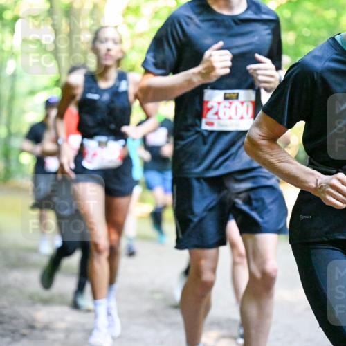 28.09.2025 - 33. Volkslauf durch das schöne Alstertal Dr. Thomas Lammeyer http://msf.ph/oto/8955134 28.09.2025 10:40:48 Laufen 2600, 253 meine-sportfotos.de