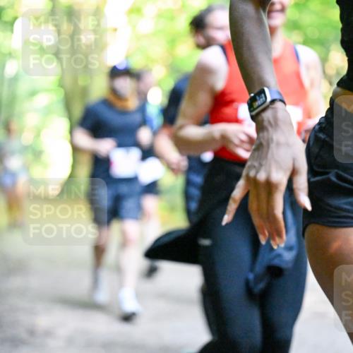 28.09.2025 - 33. Volkslauf durch das schöne Alstertal Dr. Thomas Lammeyer http://msf.ph/oto/8955138 28.09.2025 10:40:49 Laufen 23 meine-sportfotos.de
