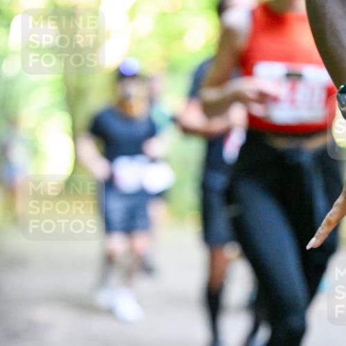 28.09.2025 - 33. Volkslauf durch das schöne Alstertal Dr. Thomas Lammeyer http://msf.ph/oto/8955139 28.09.2025 10:40:50 Laufen  meine-sportfotos.de