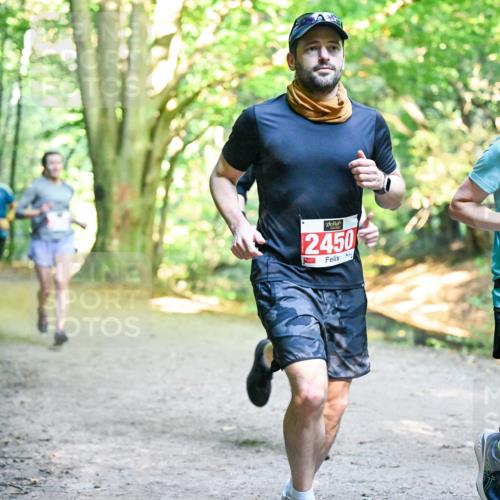 28.09.2025 - 33. Volkslauf durch das schöne Alstertal Dr. Thomas Lammeyer http://msf.ph/oto/8955142 28.09.2025 10:40:50 Laufen 2450, 244 meine-sportfotos.de