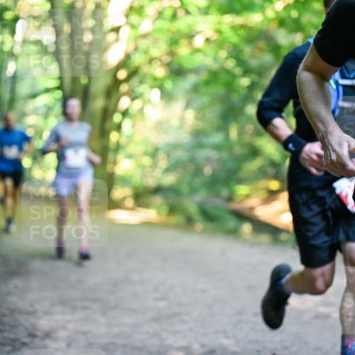 28.09.2025 - 33. Volkslauf durch das schöne Alstertal Dr. Thomas Lammeyer http://msf.ph/oto/8955148 28.09.2025 10:40:51 Laufen 21 meine-sportfotos.de