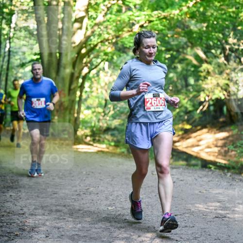 28.09.2025 - 33. Volkslauf durch das schöne Alstertal Dr. Thomas Lammeyer http://msf.ph/oto/8955158 28.09.2025 10:40:53 Laufen 2018, 2606 meine-sportfotos.de