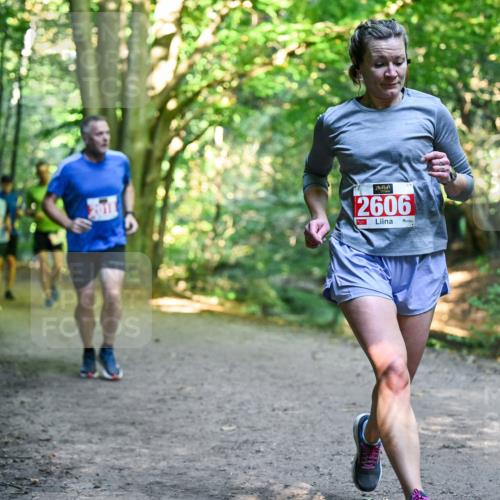 28.09.2025 - 33. Volkslauf durch das schöne Alstertal Dr. Thomas Lammeyer http://msf.ph/oto/8955161 28.09.2025 10:40:53 Laufen 2606 meine-sportfotos.de