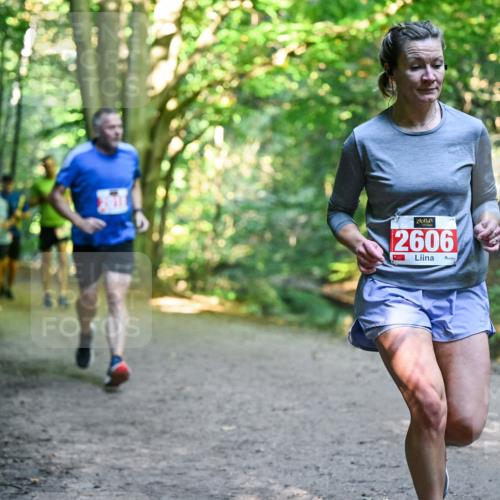 28.09.2025 - 33. Volkslauf durch das schöne Alstertal Dr. Thomas Lammeyer http://msf.ph/oto/8955162 28.09.2025 10:40:53 Laufen 2606 meine-sportfotos.de