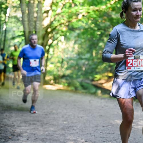 28.09.2025 - 33. Volkslauf durch das schöne Alstertal Dr. Thomas Lammeyer http://msf.ph/oto/8955164 28.09.2025 10:40:53 Laufen 2606 meine-sportfotos.de