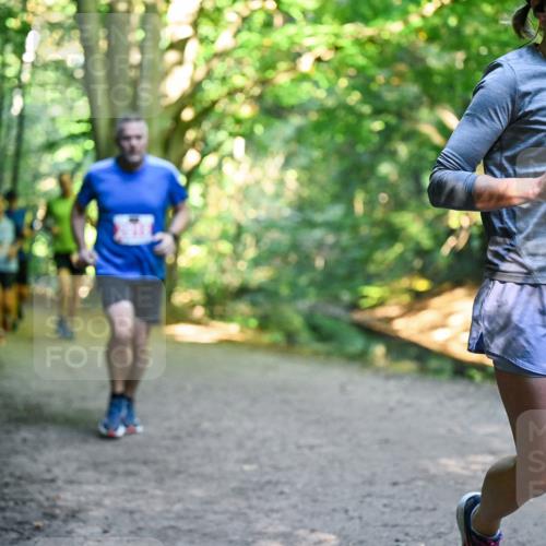 28.09.2025 - 33. Volkslauf durch das schöne Alstertal Dr. Thomas Lammeyer http://msf.ph/oto/8955165 28.09.2025 10:40:53 Laufen 2606 meine-sportfotos.de