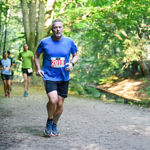 28.09.2025 - 33. Volkslauf durch das schöne Alstertal Dr. Thomas Lammeyer http://msf.ph/oto/8955169 28.09.2025 10:40:54 Laufen 2018 meine-sportfotos.de
