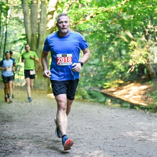 28.09.2025 - 33. Volkslauf durch das schöne Alstertal Dr. Thomas Lammeyer http://msf.ph/oto/8955170 28.09.2025 10:40:54 Laufen 2018 meine-sportfotos.de