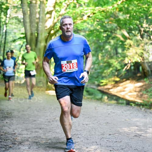 28.09.2025 - 33. Volkslauf durch das schöne Alstertal Dr. Thomas Lammeyer http://msf.ph/oto/8955171 28.09.2025 10:40:54 Laufen 2018 meine-sportfotos.de
