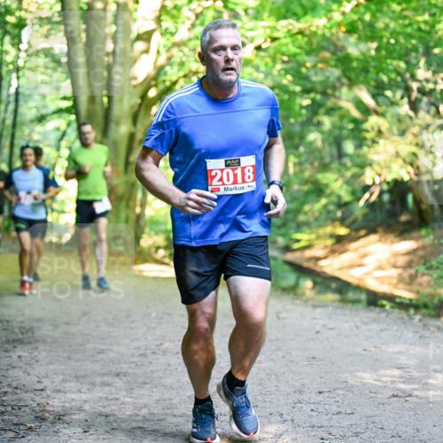 28.09.2025 - 33. Volkslauf durch das schöne Alstertal Dr. Thomas Lammeyer http://msf.ph/oto/8955172 28.09.2025 10:40:55 Laufen 2018 meine-sportfotos.de