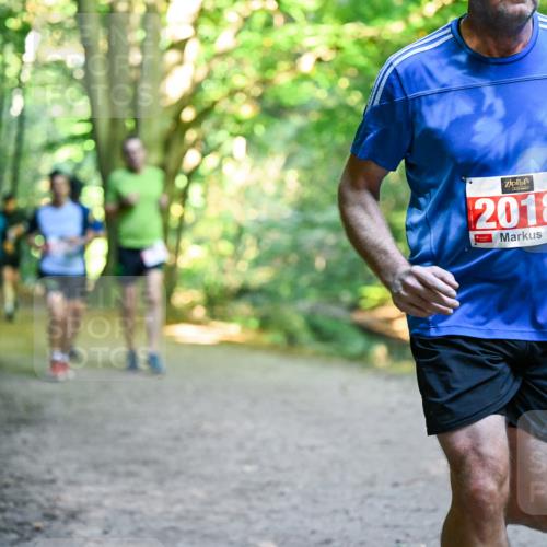 28.09.2025 - 33. Volkslauf durch das schöne Alstertal Dr. Thomas Lammeyer http://msf.ph/oto/8955178 28.09.2025 10:40:55 Laufen 2018 meine-sportfotos.de