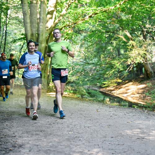 28.09.2025 - 33. Volkslauf durch das schöne Alstertal Dr. Thomas Lammeyer http://msf.ph/oto/8955185 28.09.2025 10:40:56 Laufen 2484, 2206, 2629 meine-sportfotos.de