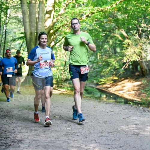 28.09.2025 - 33. Volkslauf durch das schöne Alstertal Dr. Thomas Lammeyer http://msf.ph/oto/8955191 28.09.2025 10:40:57 Laufen 2484, 2206, 2629 meine-sportfotos.de