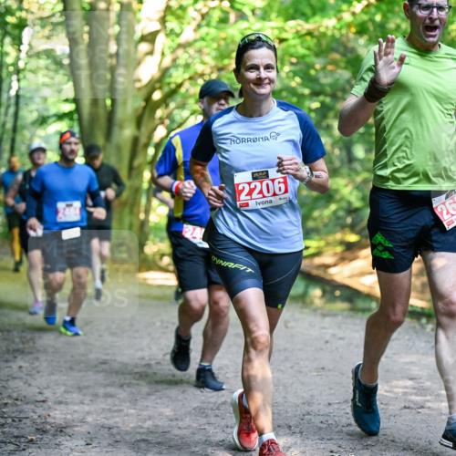 28.09.2025 - 33. Volkslauf durch das schöne Alstertal Dr. Thomas Lammeyer http://msf.ph/oto/8955200 28.09.2025 10:40:58 Laufen 2206, 24, 2629 meine-sportfotos.de