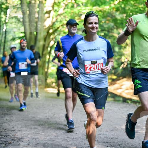 28.09.2025 - 33. Volkslauf durch das schöne Alstertal Dr. Thomas Lammeyer http://msf.ph/oto/8955201 28.09.2025 10:40:58 Laufen 2206, 262 meine-sportfotos.de