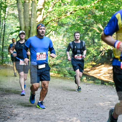 28.09.2025 - 33. Volkslauf durch das schöne Alstertal Dr. Thomas Lammeyer http://msf.ph/oto/8955206 28.09.2025 10:41:00 Laufen 2484, 2431, 2454 meine-sportfotos.de