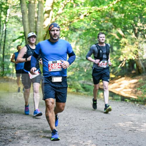 28.09.2025 - 33. Volkslauf durch das schöne Alstertal Dr. Thomas Lammeyer http://msf.ph/oto/8955208 28.09.2025 10:41:00 Laufen 2484, 2431 meine-sportfotos.de