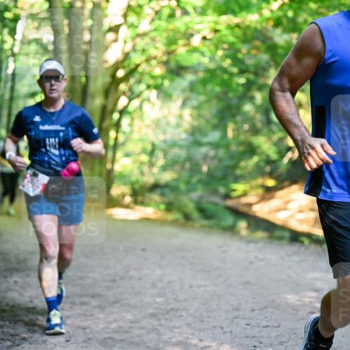 28.09.2025 - 33. Volkslauf durch das schöne Alstertal Dr. Thomas Lammeyer http://msf.ph/oto/8955236 28.09.2025 10:41:04 Laufen 2335 meine-sportfotos.de