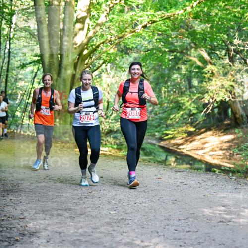 28.09.2025 - 33. Volkslauf durch das schöne Alstertal Dr. Thomas Lammeyer http://msf.ph/oto/8955249 28.09.2025 10:41:08 Laufen 2631, 2079, 2080 meine-sportfotos.de