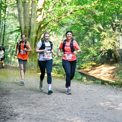 28.09.2025 - 33. Volkslauf durch das schöne Alstertal Dr. Thomas Lammeyer http://msf.ph/oto/8955250 28.09.2025 10:41:08 Laufen 2079, 2080 meine-sportfotos.de
