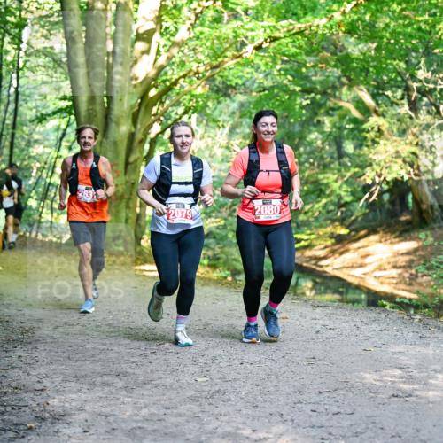 28.09.2025 - 33. Volkslauf durch das schöne Alstertal Dr. Thomas Lammeyer http://msf.ph/oto/8955251 28.09.2025 10:41:08 Laufen 2631, 2079, 2080 meine-sportfotos.de