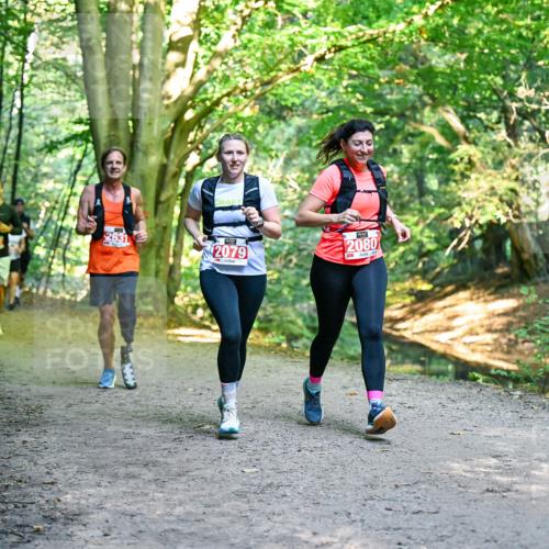 28.09.2025 - 33. Volkslauf durch das schöne Alstertal Dr. Thomas Lammeyer http://msf.ph/oto/8955252 28.09.2025 10:41:08 Laufen 2631, 2079, 2080 meine-sportfotos.de