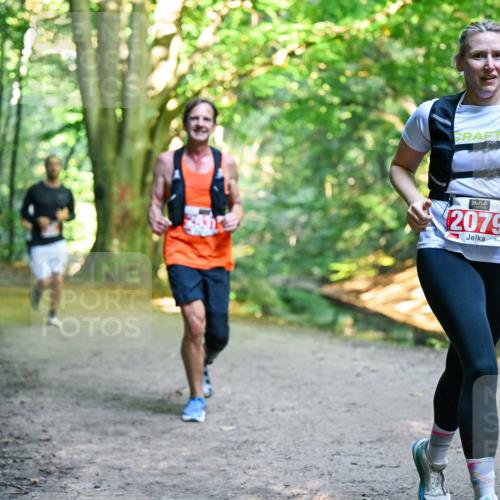 28.09.2025 - 33. Volkslauf durch das schöne Alstertal Dr. Thomas Lammeyer http://msf.ph/oto/8955263 28.09.2025 10:41:09 Laufen 831, 2079 meine-sportfotos.de