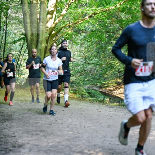 28.09.2025 - 33. Volkslauf durch das schöne Alstertal Dr. Thomas Lammeyer http://msf.ph/oto/8955286 28.09.2025 10:41:13 Laufen 215, 2384, 215 meine-sportfotos.de