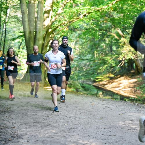 28.09.2025 - 33. Volkslauf durch das schöne Alstertal Dr. Thomas Lammeyer http://msf.ph/oto/8955288 28.09.2025 10:41:14 Laufen 367, 24, 2157 meine-sportfotos.de