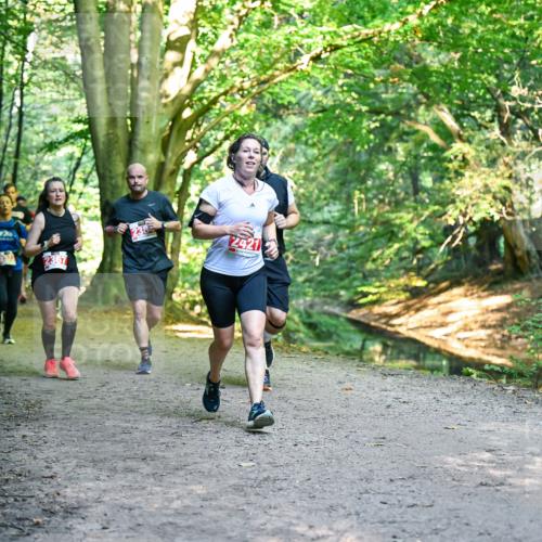 28.09.2025 - 33. Volkslauf durch das schöne Alstertal Dr. Thomas Lammeyer http://msf.ph/oto/8955290 28.09.2025 10:41:14 Laufen 124212, 2367 meine-sportfotos.de