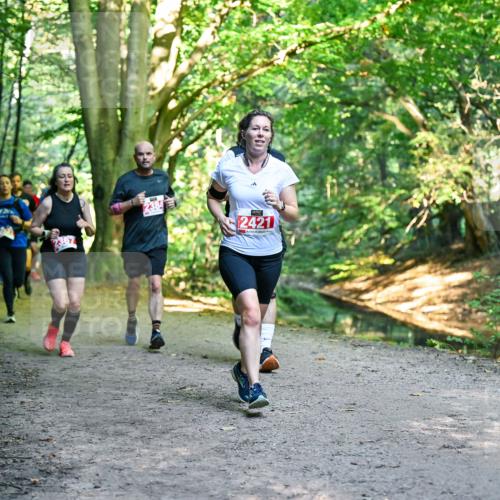 28.09.2025 - 33. Volkslauf durch das schöne Alstertal Dr. Thomas Lammeyer http://msf.ph/oto/8955292 28.09.2025 10:41:14 Laufen 2384, 2421 meine-sportfotos.de