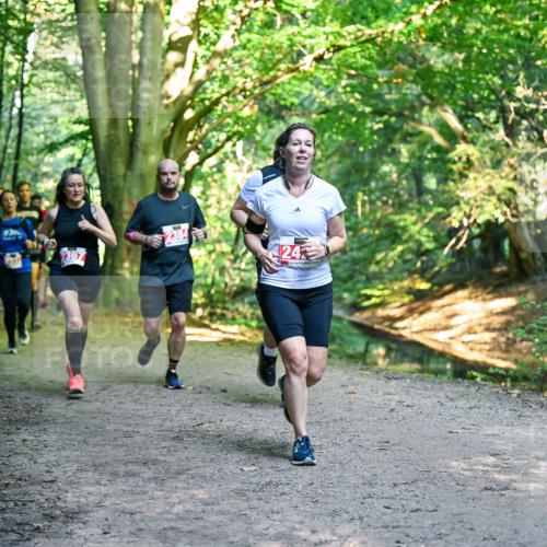 28.09.2025 - 33. Volkslauf durch das schöne Alstertal Dr. Thomas Lammeyer http://msf.ph/oto/8955294 28.09.2025 10:41:14 Laufen 239, 2367, 2384, 24 meine-sportfotos.de