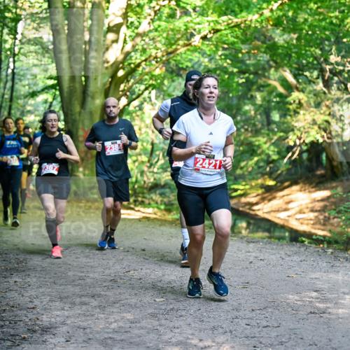 28.09.2025 - 33. Volkslauf durch das schöne Alstertal Dr. Thomas Lammeyer http://msf.ph/oto/8955295 28.09.2025 10:41:14 Laufen 238, 2421 meine-sportfotos.de