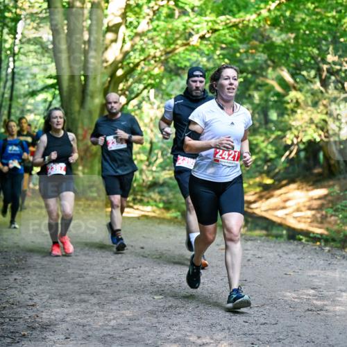 28.09.2025 - 33. Volkslauf durch das schöne Alstertal Dr. Thomas Lammeyer http://msf.ph/oto/8955296 28.09.2025 10:41:14 Laufen 2367, 2421 meine-sportfotos.de