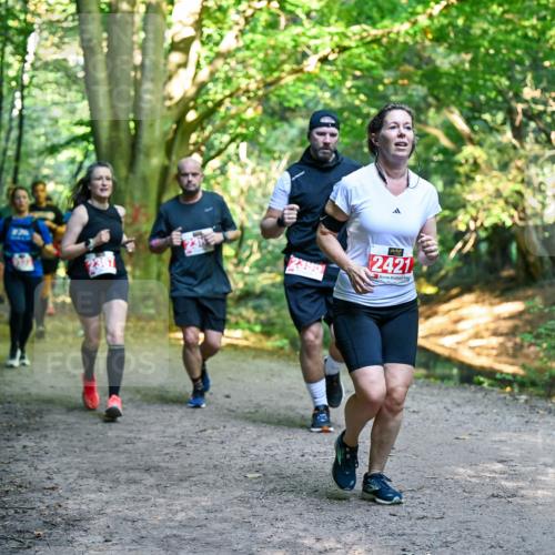 28.09.2025 - 33. Volkslauf durch das schöne Alstertal Dr. Thomas Lammeyer http://msf.ph/oto/8955297 28.09.2025 10:41:15 Laufen 2421 meine-sportfotos.de