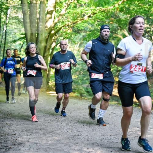 28.09.2025 - 33. Volkslauf durch das schöne Alstertal Dr. Thomas Lammeyer http://msf.ph/oto/8955298 28.09.2025 10:41:15 Laufen 367, 2384, 2395, 2421 meine-sportfotos.de