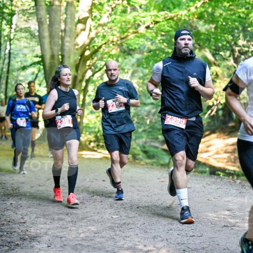 28.09.2025 - 33. Volkslauf durch das schöne Alstertal Dr. Thomas Lammeyer http://msf.ph/oto/8955301 28.09.2025 10:41:15 Laufen 2384, 2367, 2395, 2421 meine-sportfotos.de