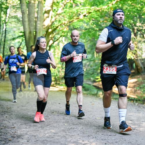 28.09.2025 - 33. Volkslauf durch das schöne Alstertal Dr. Thomas Lammeyer http://msf.ph/oto/8955303 28.09.2025 10:41:16 Laufen 2367, 2384, 2395 meine-sportfotos.de