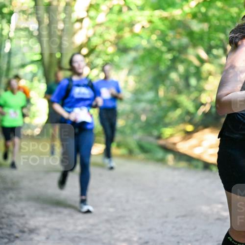 28.09.2025 - 33. Volkslauf durch das schöne Alstertal Dr. Thomas Lammeyer http://msf.ph/oto/8955316 28.09.2025 10:41:17 Laufen 2367 meine-sportfotos.de