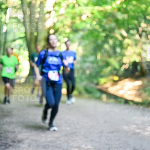 28.09.2025 - 33. Volkslauf durch das schöne Alstertal Dr. Thomas Lammeyer http://msf.ph/oto/8955317 28.09.2025 10:41:17 Laufen  meine-sportfotos.de